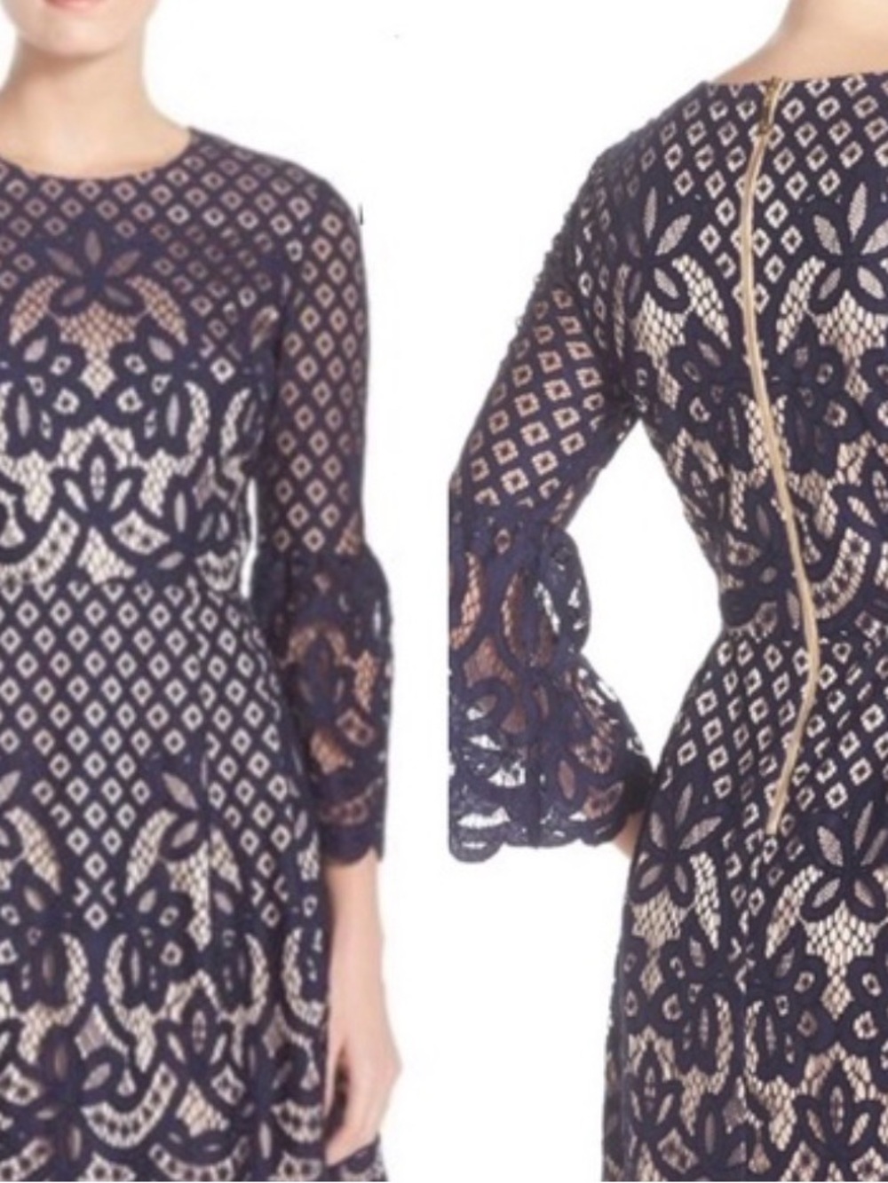 Eliza J Navy and Nude Lace Fit-and-Flare Dress